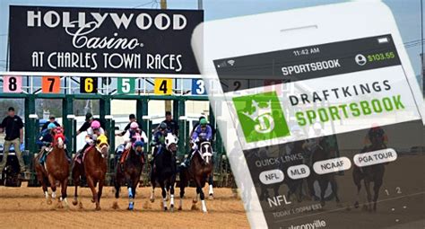 viks casino sports betting
